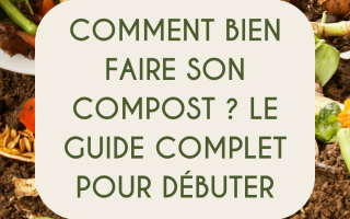 Comment bien faire son compost, le guide complet pour debutant