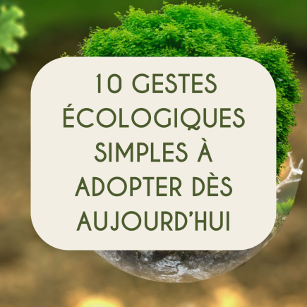 10 gestes écologiques à adopter dès aujourd'hui 3