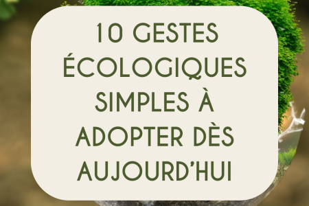 10 gestes écologiques à adopter dès aujourd'hui 3