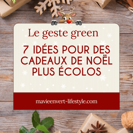astuces pour des cadeaux de noel plus écolo