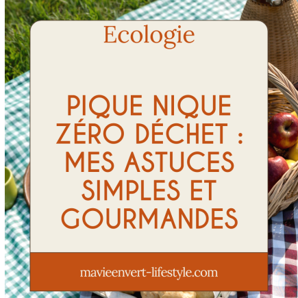 Pique nique 0 dechet : mes astuce simples et gourmandes