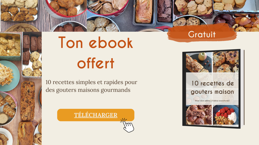 ebook gratuit 10 gouters maison